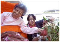 いもほり いもほり