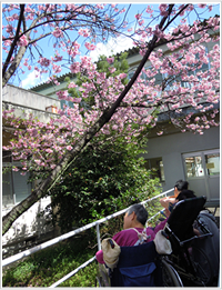 お花見♪ お花見♪