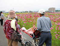 社会見学 コスモス&レスパスシティ 社会見学 コスモス&レスパスシティ