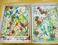 どんぐり画伯 どんぐり画伯