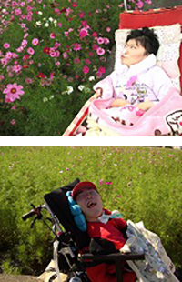 社会見学「コスモスまつり」