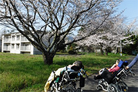 21病棟お花見散歩