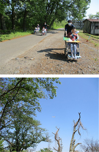 23病棟・社会見学振替行事「院内散歩」