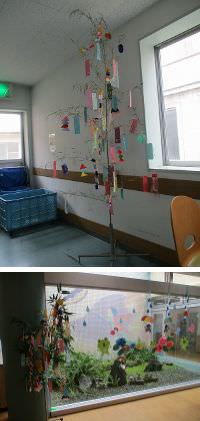 21病棟「七夕」