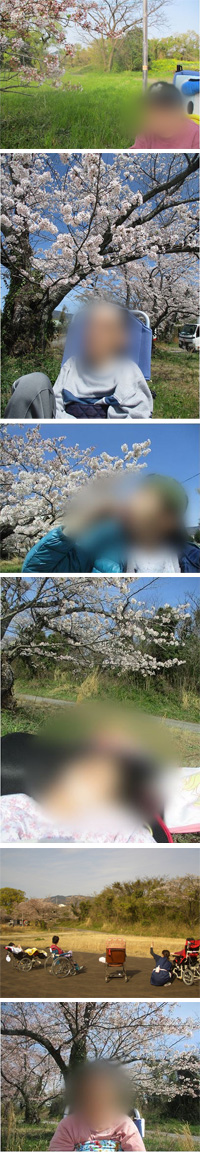 シーズンクラブ「お花見」