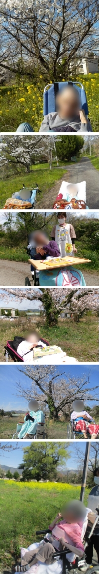 シーズンクラブ「お花見と散歩」(^^)v