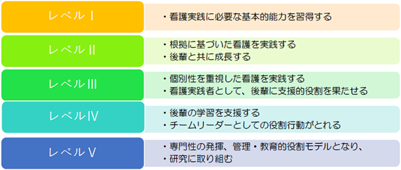 キャリアラダー制　レベル1・看護実践に必要な基本的能力を習得する　レベル2・根拠に基づいた看護を実践する・後輩と共に成長する　レベル3・個別性を重視した看護を実践する・看護実践者として、後輩に支援的役割を果たせる　レベル4・後輩の学習を支援する・チームリーダーとしての役割行動がとれる　レベル5・専門性の発揮、管理・教育的役割モデルとなり、研究に取り組む
